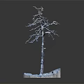 Leafless Wooden Tree Decor with Snow Covered Stone Base and Natural Design