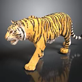 Realistic Tiger Model With Yellow Black Stripes And Walking Pose