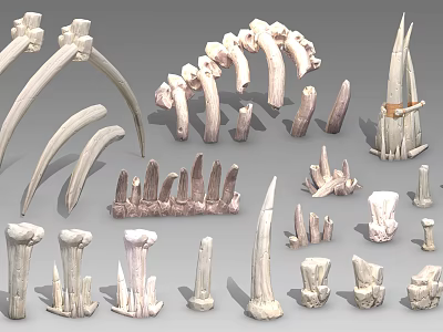 Reptile Skeleton Fossils Collection Featuring Various Ancient Preserved Bone Specimens and Structures 3d model