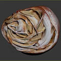 Rose Shaped Apple Pastry Topped With Powdered Sugar On Dark Background