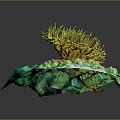 Vibrant Branching Yellow Plant With Green Textured Base And Natural Structure Design
