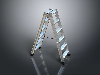 Silver Aluminum Ladder With Non Slip Feet And Sturdy Steps For Household Use 3d model