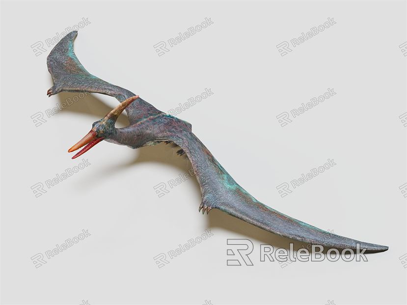 Modern Pterosaur Cartoon Pterosaur model