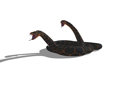 Two Headed Reptile Snake With Black Orange Patterns Open Mouths Coiled On White Background 3d model