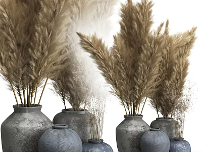 Gray And Blue Vases With Dried Pampas Grass For Home Decor Arrangement 3d model