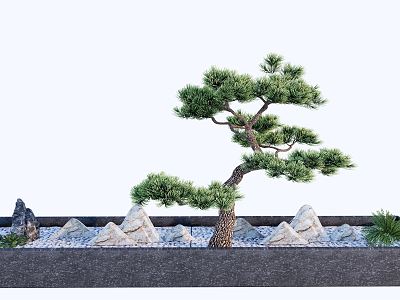 New Chinese Bonsai Welcome Pine model