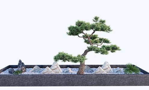 New Chinese Bonsai Welcome Pine 3d model