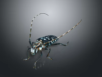 Detailed Close Up Of Long Horned Beetle With Black White Spots And Metallic Shine 3d model