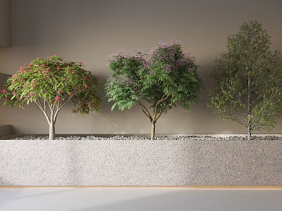 Three Different Types of Trees Planted in Stone Planter With Gray Wall and Gravel Ground 3d model