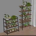 Two Stylish Multi Tiered Flower Stands with Lush Green Potted Plants Indoor