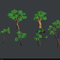 Different Types Of Green Leafy Trees With Various Heights And Shapes