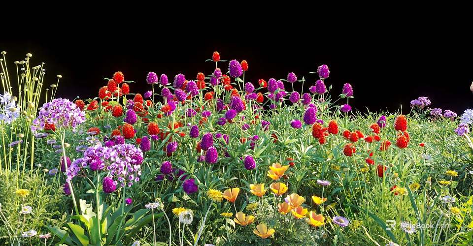 Colorful Mixed Flowers And Plants With Red Purple Yellow Blooms In Garden 3d model 