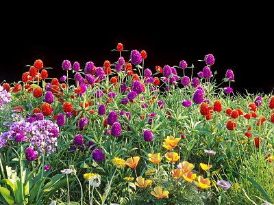 Colorful Mixed Flowers And Plants With Red Purple Yellow Blooms In Garden 3d model