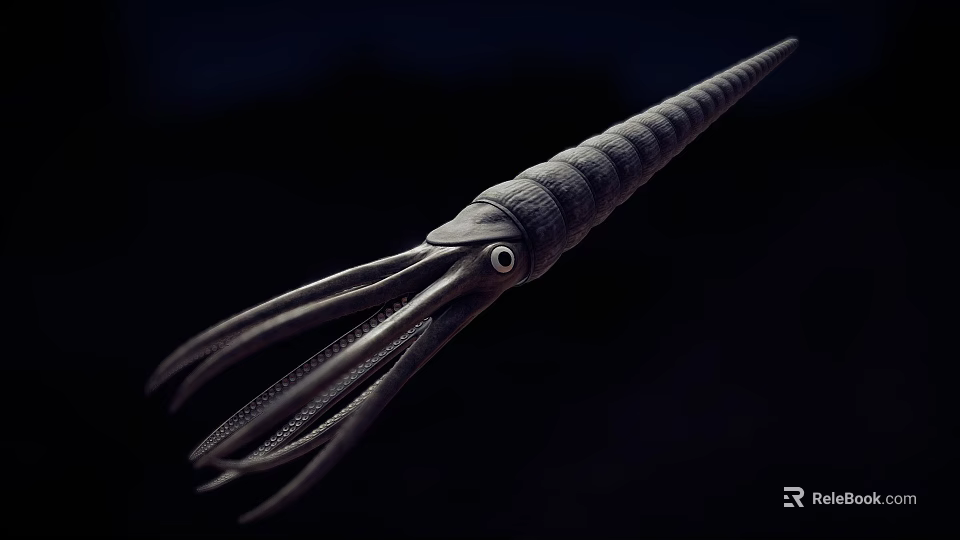 Realistic Marine Cephalopod Model With Spiral Body Extended Tentacles And Large Eye 3d model 