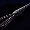 Realistic Marine Cephalopod Model With Spiral Body Extended Tentacles And Large Eye