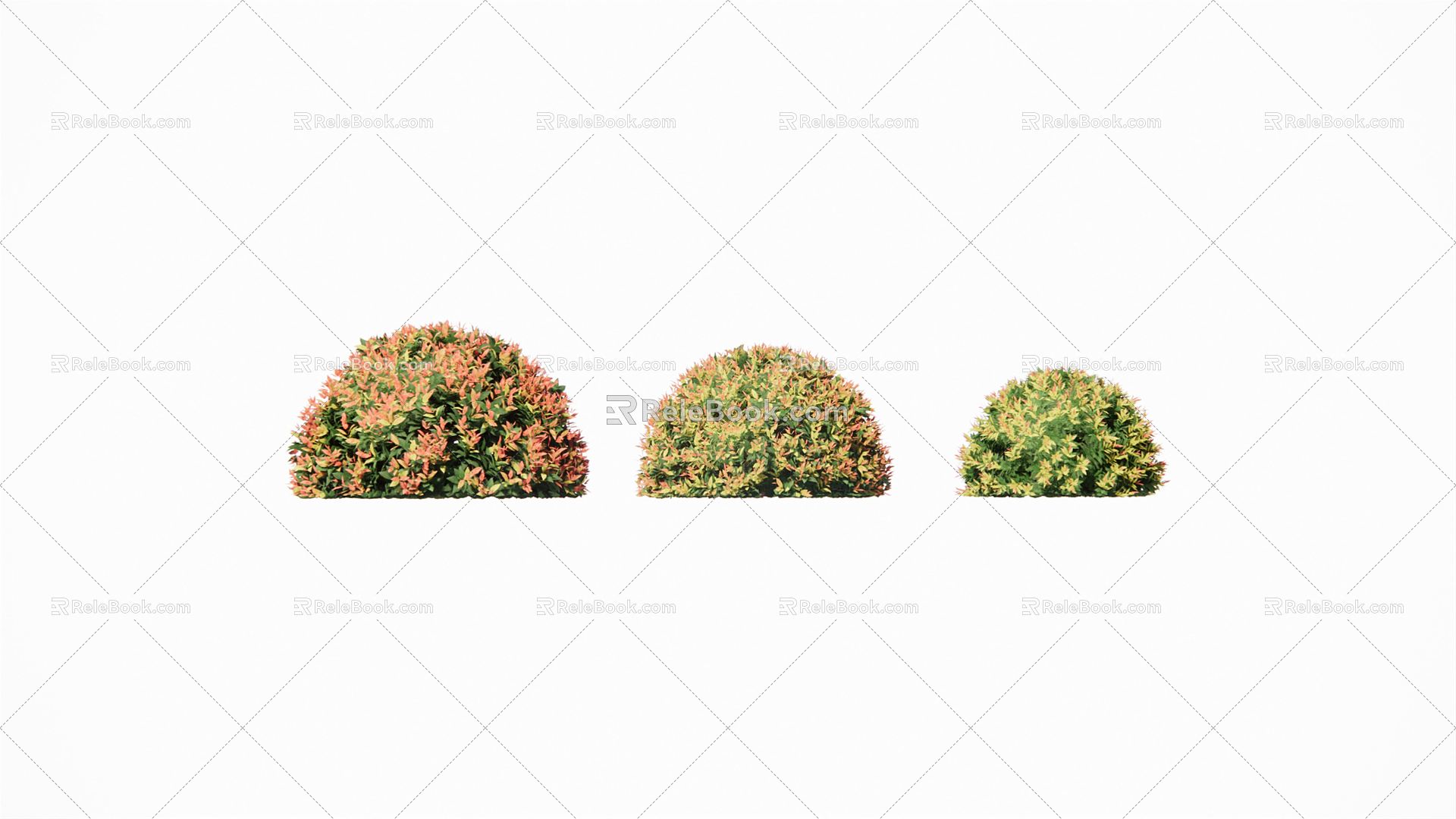 Modern Shrub Plants 3d model