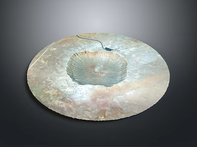 Circular Textured Decorative Art Piece With Central Radial Pattern And Shimmering Metallic Surface 3d model