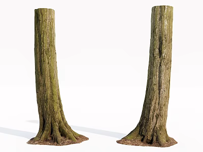 Natural Wood Tree Trunks With Stone Like Root Base And Bark Texture 3d model
