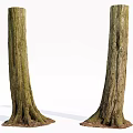 Natural Wood Tree Trunks With Stone Like Root Base And Bark Texture 3d model