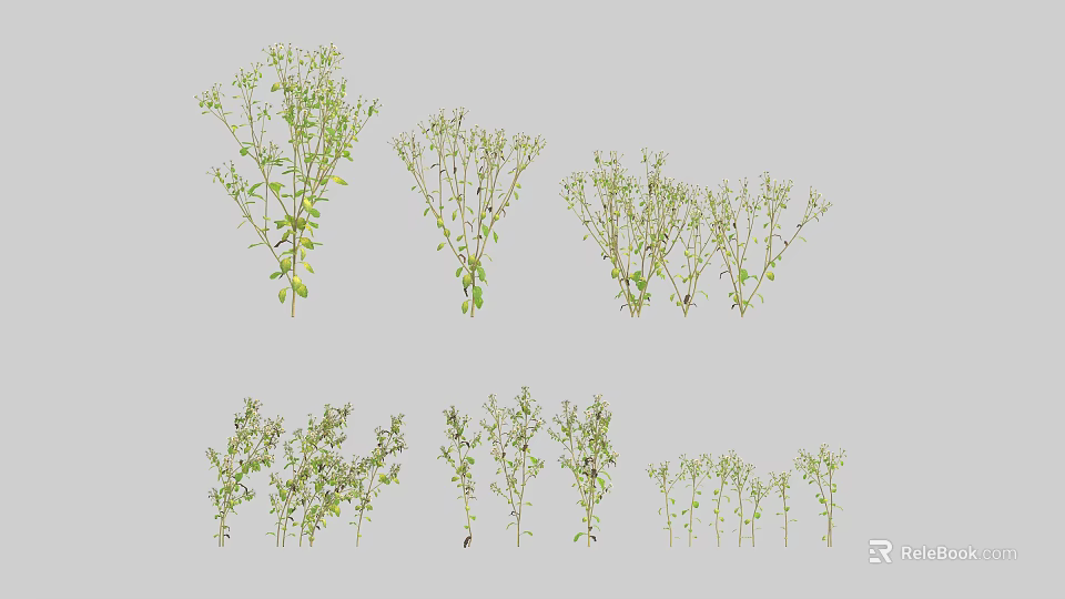 Six Groups of Green Herbs in Various Forms Displayed on Gray Background 3d model 