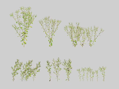 Six Groups of Green Herbs in Various Forms Displayed on Gray Background 3d model