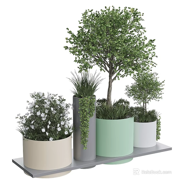 Bonsai Potted Plants with Various Shapes and Different Colored Pots on Shelf 3d model 