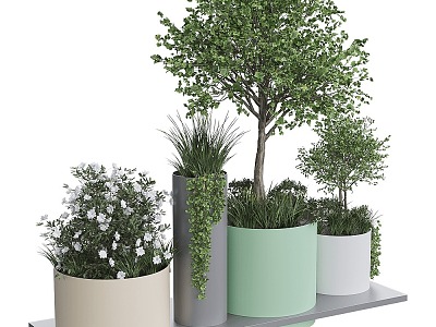 tree landscape tree shrub plant potted model