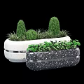 White And Black Roadside Planters With Green Shrubs And Decorative Plants For Urban Streets