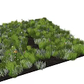 Colorful Flowers And Lush Green Grass Thriving Vibrantly In Natural Meadow