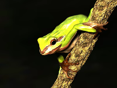 Green Reptile Climbing On Tree Branch In Natural Habitat Close Up 3d model
