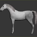 White Horse 3D Model With Realistic Body And Gray Mane