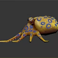 Modern cuttlefish squid cuttlefish 3d model