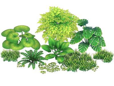Green Plants with Various Leaf Shapes Lush Foliage and Decorative Herbaceous Species 3d model