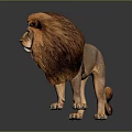 3D Rendered Lion Standing On Dark Background With Distinct Mane And Reflection