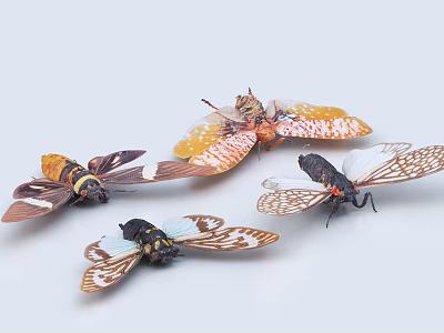 Flying Animals Vibrant Cicadas With Colorful Patterned Wings Arranged On White Background 3d model