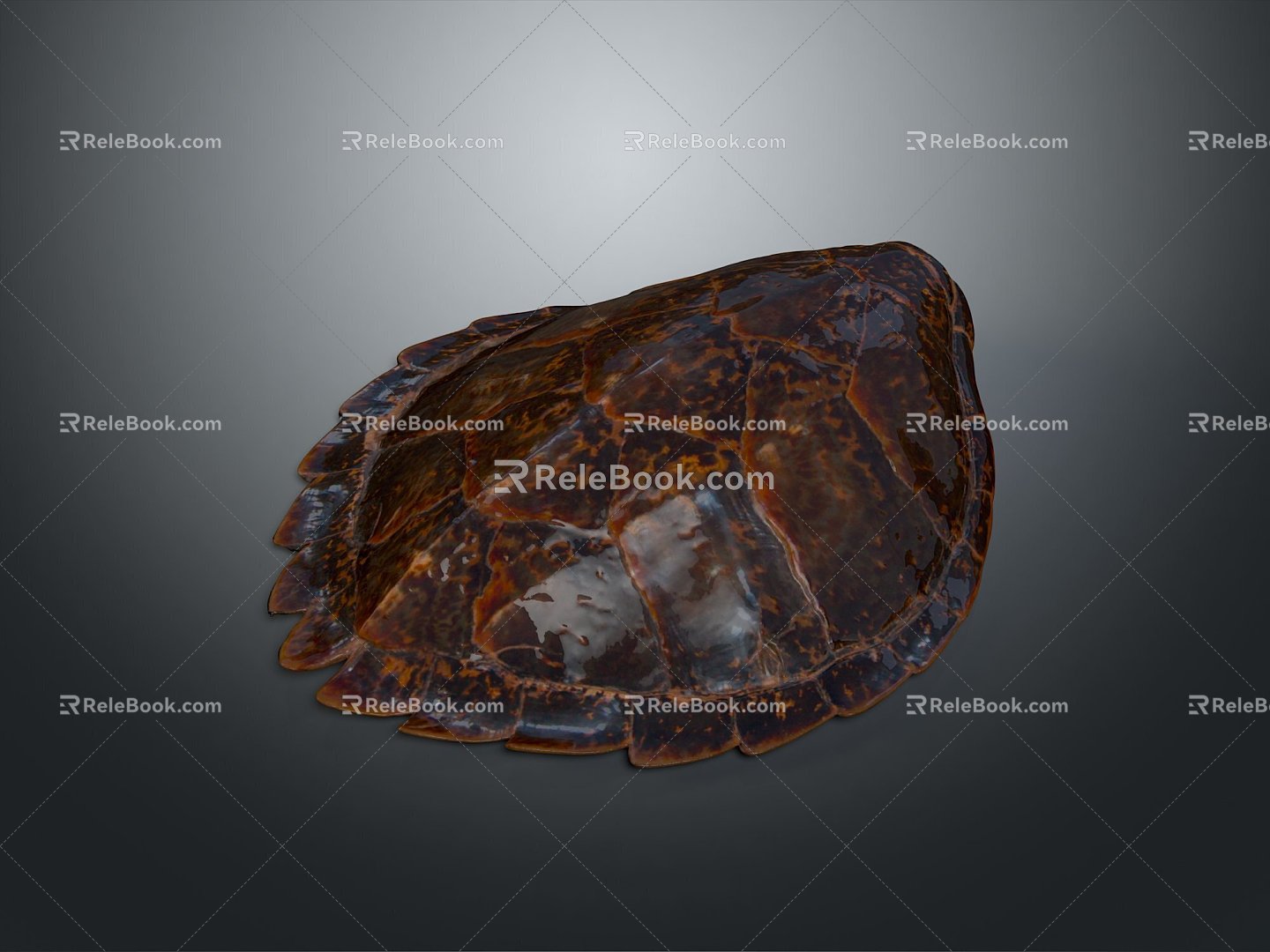 Turtle Turtle Cartoon Turtle Snapping Turtle Chickbill Turtle Reptile Cold Blooded Animal Reptile Reptile Class 3d model