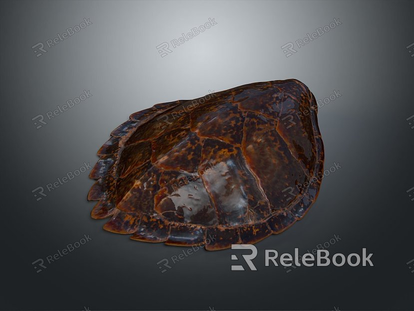 Turtle Turtle Cartoon Turtle Snapping Turtle Chickbill Turtle Reptile Cold Blooded Animal Reptile Reptile Class model