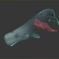Majestic Whale Mother and Baby Calf Aquatic Animal Swimming Together