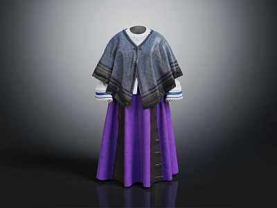 Traditional Dark Gray Cape With White Blue Striped Sleeves And Purple Black Skirt 3d model