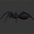 Black Spider With Red Eyes Featuring Detailed Realistic Design on Dark Background