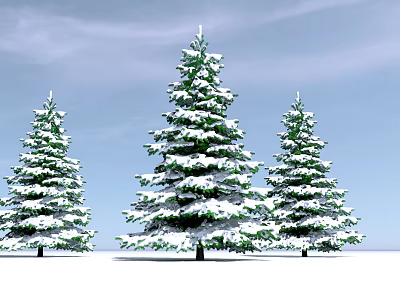 Three Snow Covered Evergreen Arbor Trees With Blue Sky Background 3d model