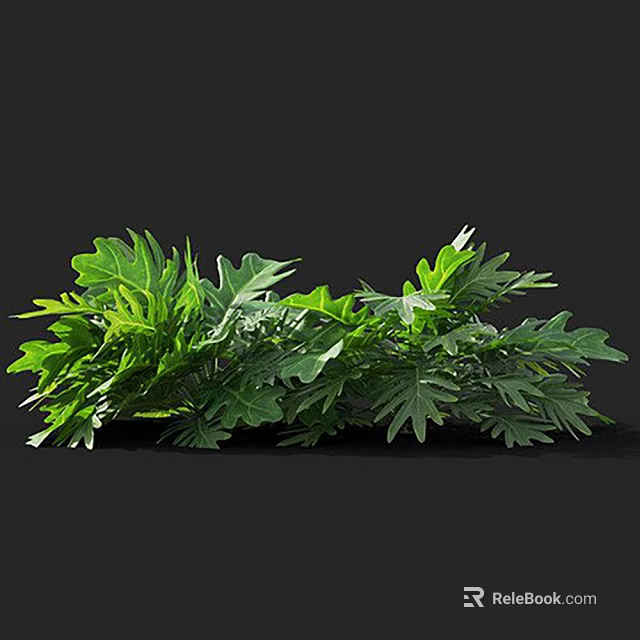 Lush Green Leafy Plants With Serrated Edges And Large Leaves On Black Background 3d model 