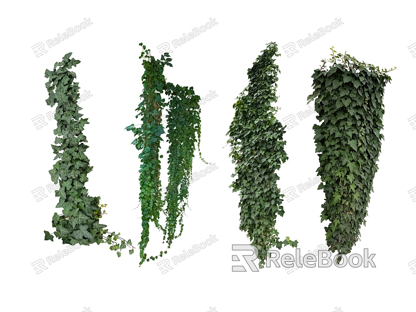 green plant vine model