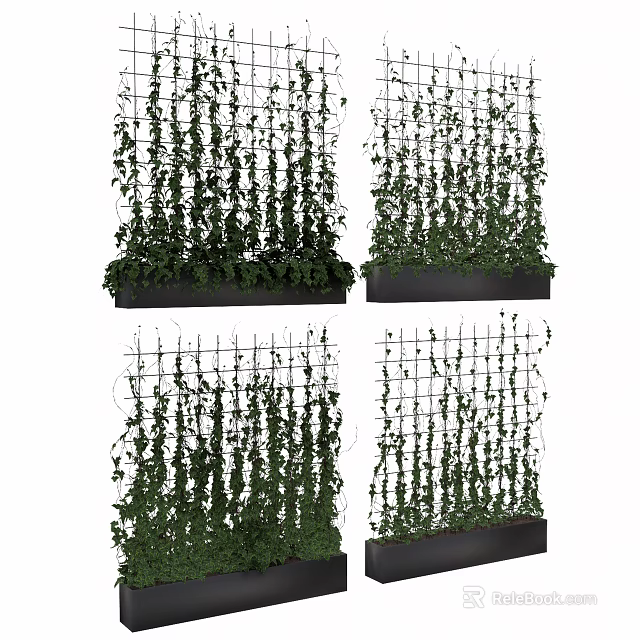 Vertical Living Plant Wall With Grid Support And Green Vines In Planter Boxes 3d model 