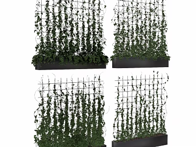 Vertical Living Plant Wall With Grid Support And Green Vines In Planter Boxes 3d model