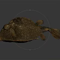 Unique Brown Spotted Aquatic Fish With Unusual Body Shape And Distinct Fins