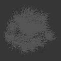Lush Green Tall Grass With White Feathery Plumes Swaying In Natural Wind