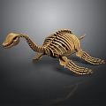 Turtle Skeleton With Detailed Bone Structure And Natural Lifelike Posture