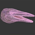 Detailed Crocodile Head Model With Sharp Teeth Textured Skin And Yellow Eyes