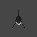 Realistic 3D Orca Model With Black And White Coloration And Detailed Fins
